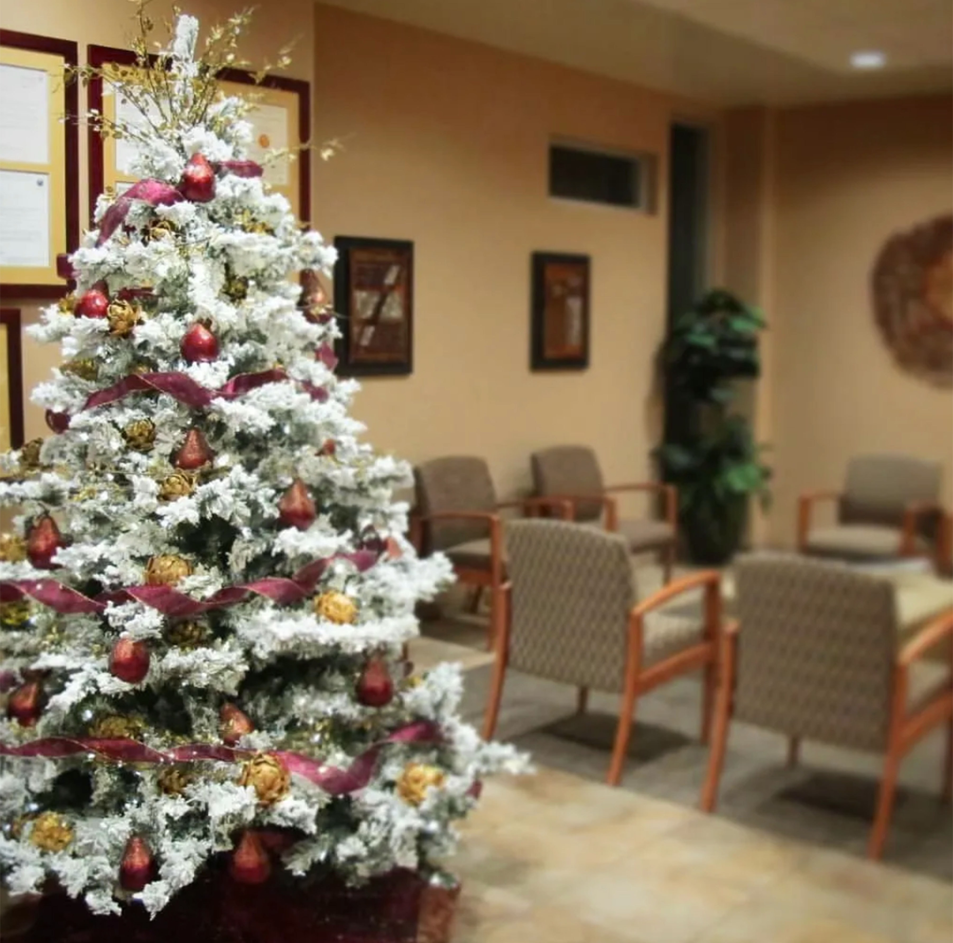 Flocked Christmas tree with burgundy ribbon and gold ornaments in medical office waiting room